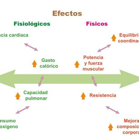 Ejemplo De Alta Y Baja Variabilidad De La Frecuencia Cardíaca Vfc Download Scientific Diagram