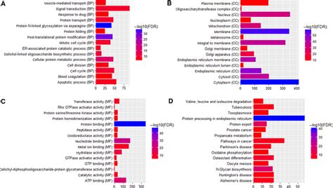 Go Pathway Analyses Of Dysregulated Proteincoding Genes A