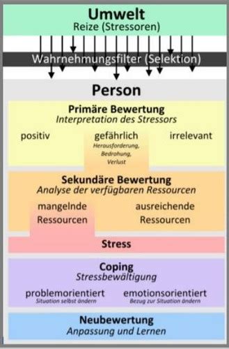 01 Personenzentrierte Beratung Flashcards Quizlet