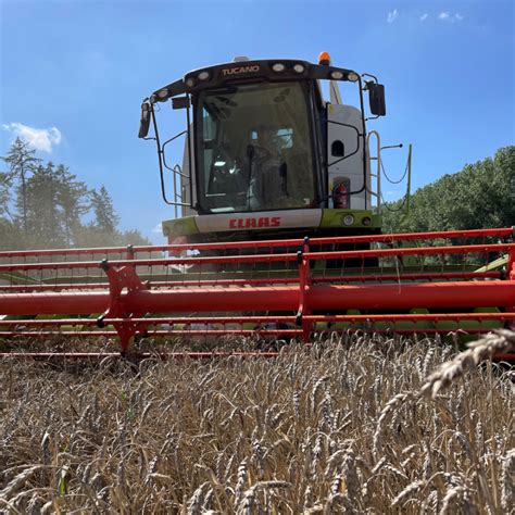 Schlussspurt Bei Der Ernte Josef Rief MdB