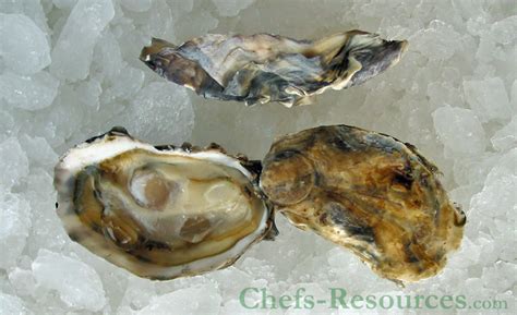 Naked Roy S Oysters Chefs Resources