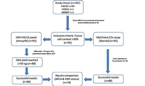 Study Design Next Generation Sequencing Panel Oncomine Brca