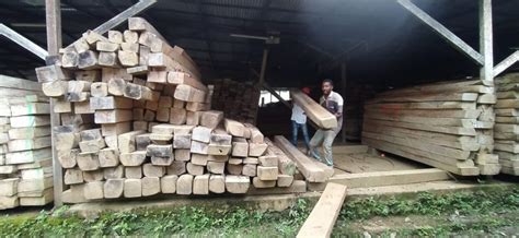 En San Pedro de Urabá entregamos madera para construcción de Puentes