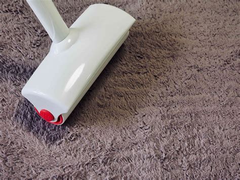 How To Clean A Carpet Without Vacuum Sweepers Broomore