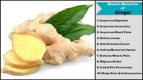 Health Benefits of Ginger: Nature’s Gift to all Maladies!