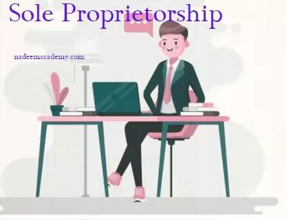 Sole Proprietorship Examples 2023