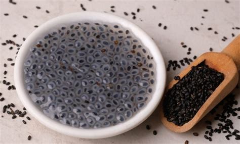 The Power Of Tukh Malanga Benefits Of Basil Seeds For Health And Wellness