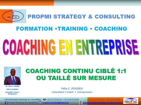 Programmes De Coaching En Entreprise Propmi Formations Training