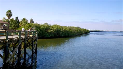 Manatee Viewing Center in Apollo Beach, Florida | Expedia