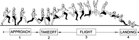 Macam Gaya Lompat Jauh Gambar Dan Penjelasannya Penjasorkes