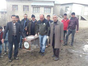 Yaralı Tilki Tedavi Altına Alındı