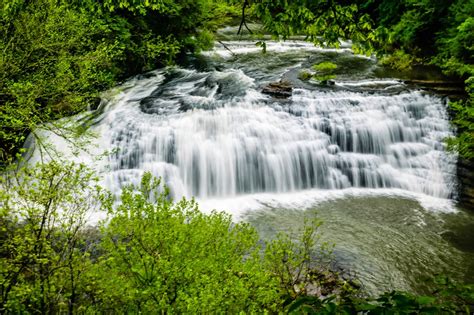 We're Going Camping!: Burgess Falls State Park