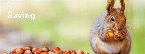 What Can Squirrels Teach Us About Saving Exude Human Capital