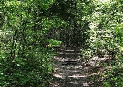 Gallery Preservation Society For Spring Creek Forest