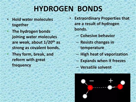 Properties of Water Presentation | PPT