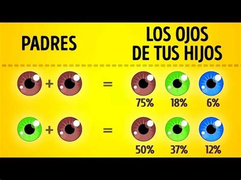 Descubre Tu Herencia Ocular Calculadora De Color De Ojos Basada En Tus