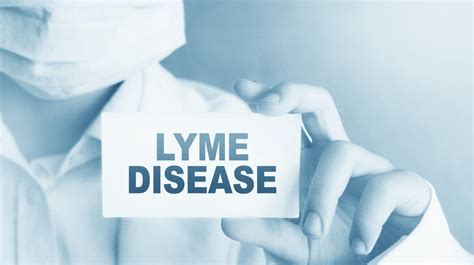 Premium Photo Lyme Disease Words Written On Card Doctors Hand Shows Medical Concept