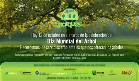 12 de octubre celebración del Día Mundial del Árbol ACODAL Occidente