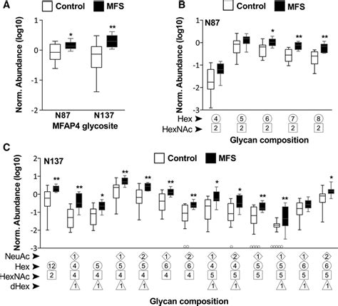 Glycoproteomic Analysis Of The Aortic Extracellular Matrix In Marfan