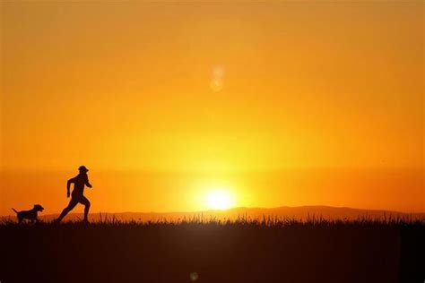 Dog Running Silhouette Stock Photos, Images and Backgrounds for Free ...