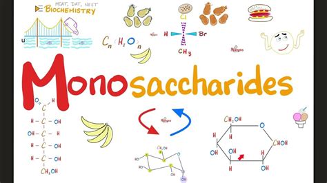 Monosaccharides Carbohydrates Tollen Benedict Oxidation Reduction Esterification