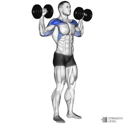 Dumbbell Shoulder Press Standards For Men And Women Lb Strength Level