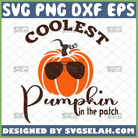 Coolest Pumpkin In The Patch SVG SVG Selah