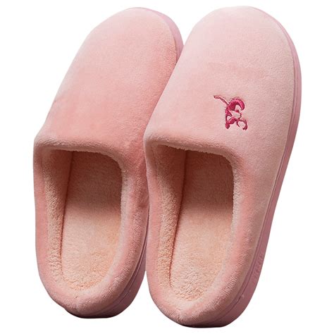 Pantuflas PNG