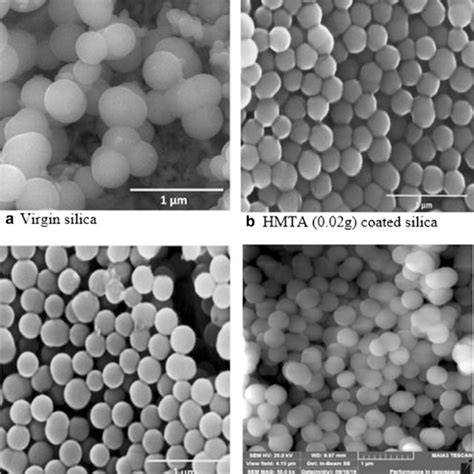 A D Sem Micrographs Of Virgin Hmta And Edtacoated Silica Particles