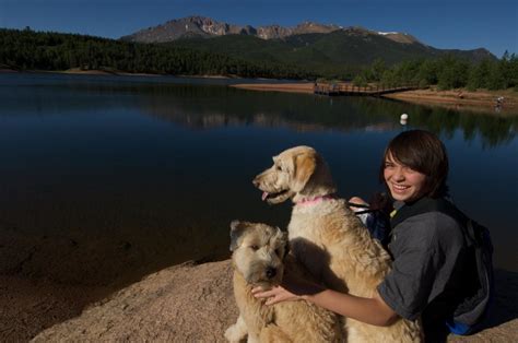 BUCKET LIST: 10 Dog Friendly Places You MUST Visit