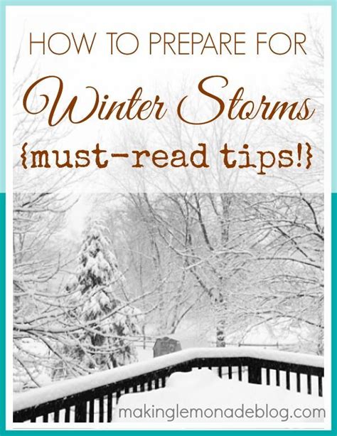 Winter Storm Survival Guide