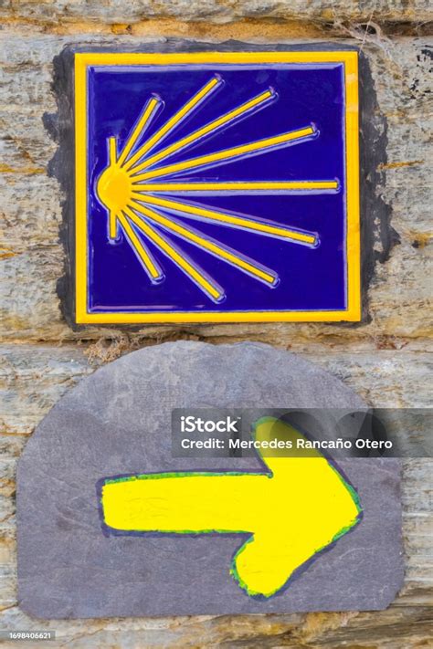 Pilgrims Shell And Yellow Arrow Symbols Of The Camino De Santiago Stock