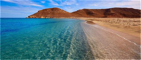 El Ave F Nix Estas Son Las Mejores Playas De Andaluc A Seg N