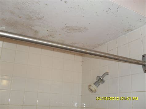 Why Is There Mold Above My Shower At Alice Lane Blog