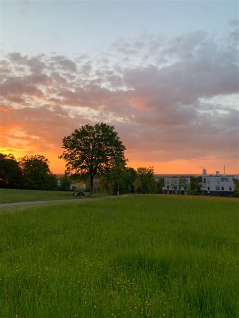 the sun is setting over an open field with trees and buildings in the ...