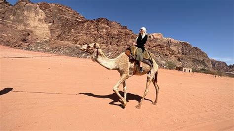 Desert Trekking Guide Camp Wadi Rum Village All You Need To Know