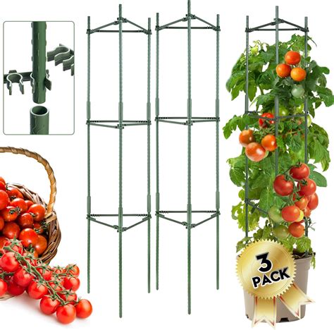 Amazon Tomato Cage Sturdy Tomato Cages 3 Pack Tomato Plant Cage