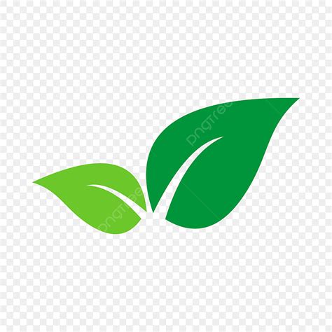 Green Leaves Vector Icon Design On White Background Various Shapes Of ...