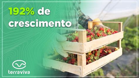 Descubra Quantos Empregos Foram Gerados Pelo Agroneg Cio Youtube