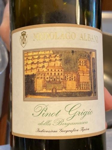 Medolago Albani Pinot Grigio Della Bergamasca Vivino US