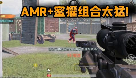 【武子弈】团竞蜜獾amr全新组合！近远都强势！ 44万粉丝297点赞期待你的评论游戏视频 免费在线观看 爱奇艺