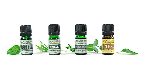 Back To Basics And Beyond With Plant Prana Plant Prana Essential Oils