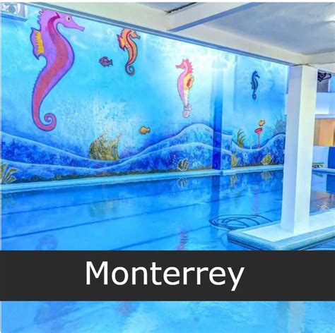 Escuelas de Natación en Monterrey Sucursales