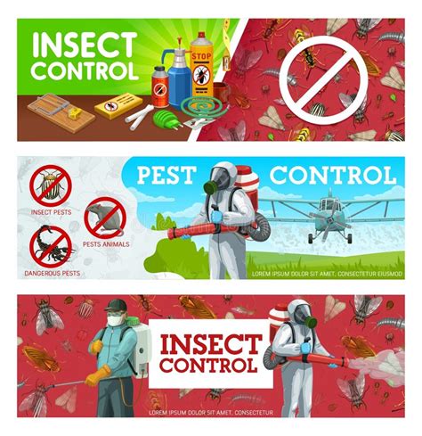 Deratization Insects Disinsection Pest Control Stock Vector Illustration Of Parasite