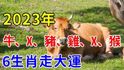 2023年十二生肖運勢排行，有6個生肖會遇上好年景，人財兩旺走大運！【帝王改命學】 Youtube