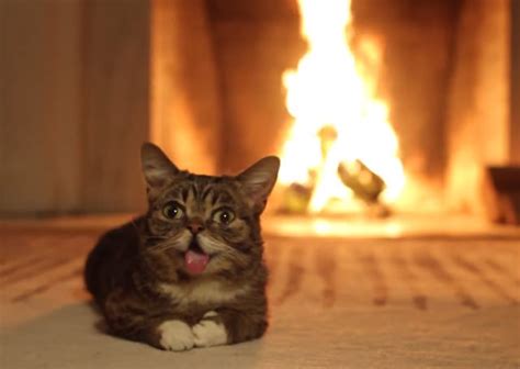 Fireplace Videos Loop | POPSUGAR Tech