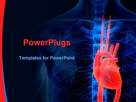 Cardiology Ppt Template Free Printable Templates Your Go To Resource