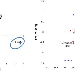 Pca Score Plot Of The First Two Principal Components Pc And Pc