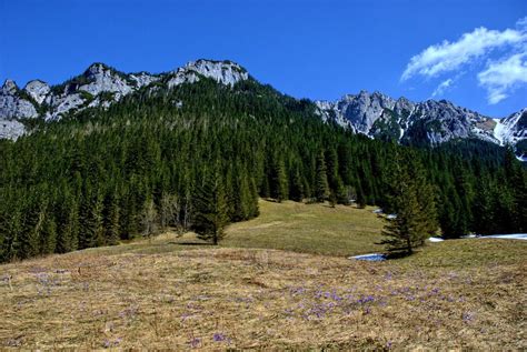 Tatrza Ski Park Narodowy W Polsce Galeria Zdj Zdj Cia Tatrza Skiego