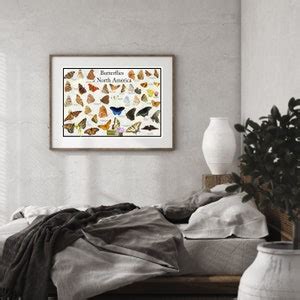 Common Butterflies Of North America Poster Print Butterfly Field